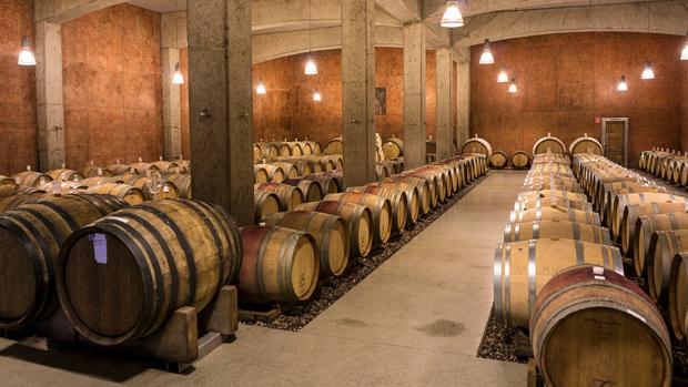 Weingut Tement - Image 3